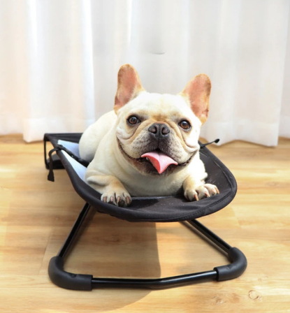 Cama Mecedora para Mascotas