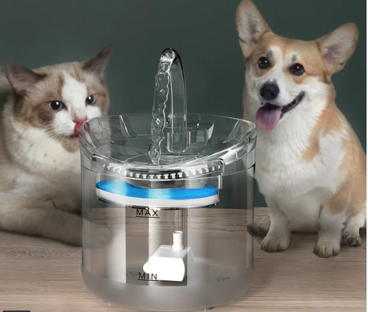 Fuente de Agua 2 en 1 para Mascotas